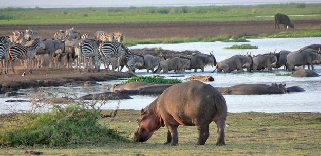 lake_manyara_park